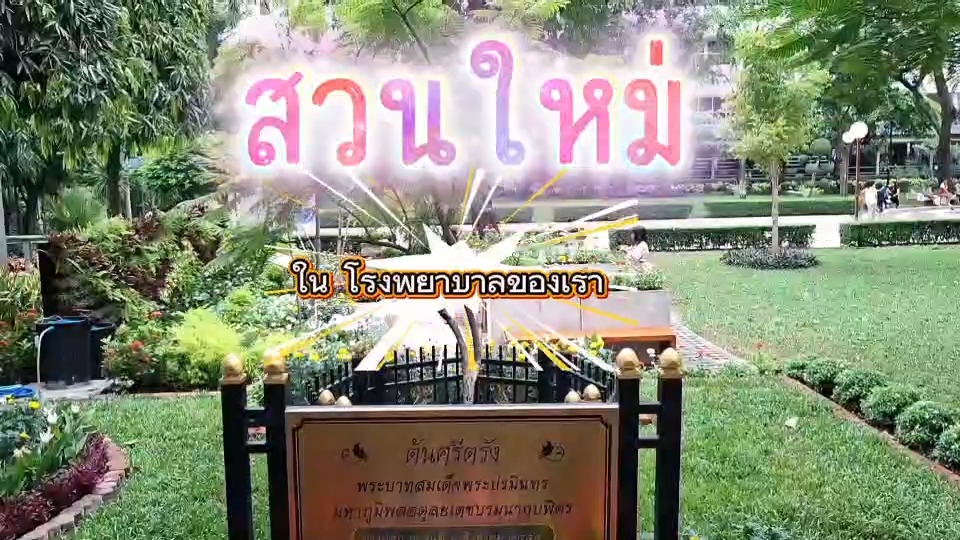 อย่าลืมมาเช็คอิน-“ศิริราชสวนสวย”-สถานที่พักผ่อนแห่งให
