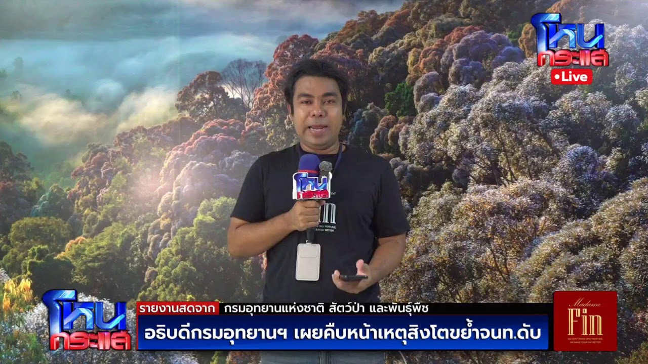 สด-อธิบดีกรมอุทยานฯ-เผยคืบหน้าเหตุสิงโตขย้ำจนท.ดับ