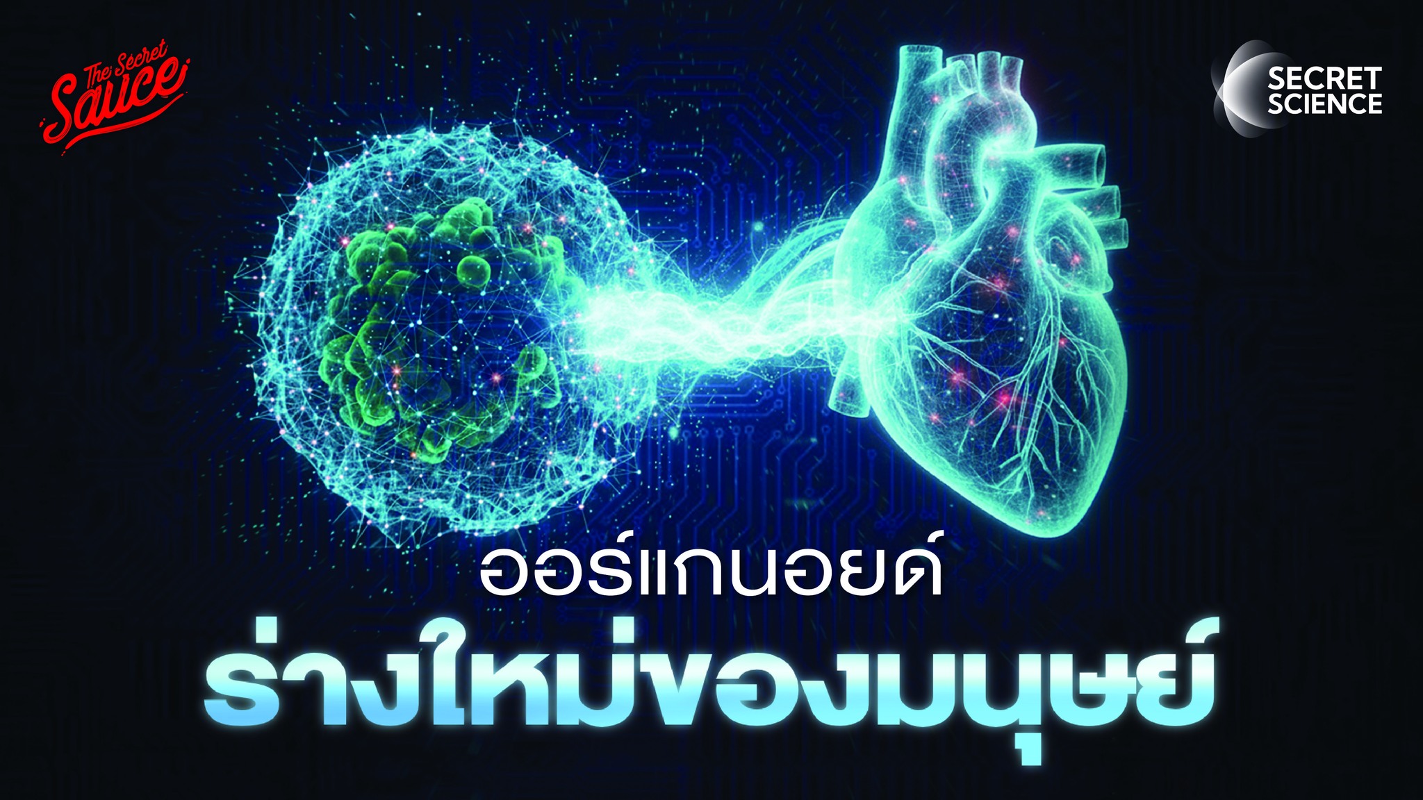 เทคโนโลยี-organoids-เป็นเทคโนโลยีด้านการวิจัยที่คณะแพทย