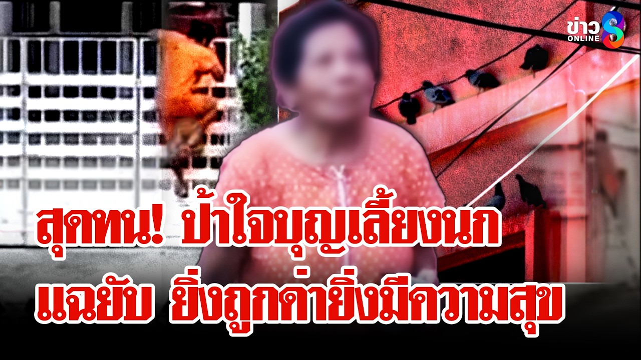 ‘วีรกรรมสุดยี้!-“ป้านกพิราบ”-บุกบ้านปาขี้แมว-เพื่อนบ้าน