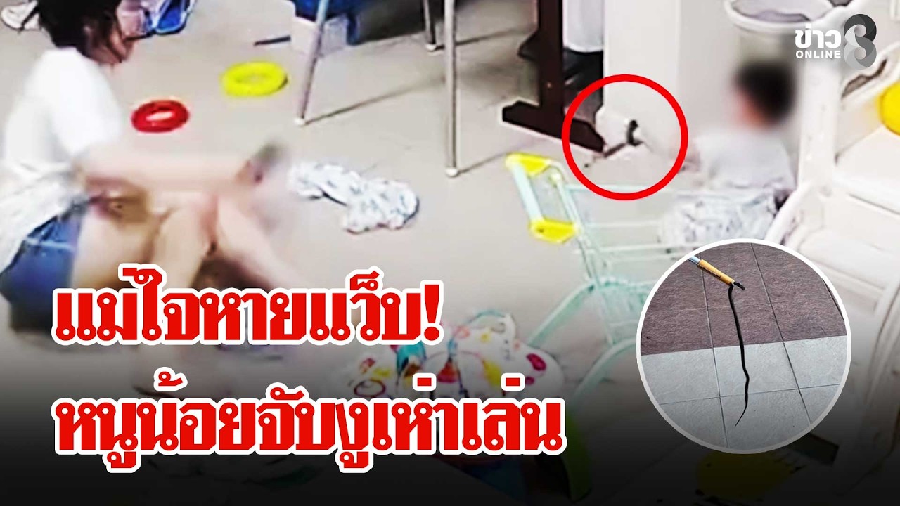 ‘ใจหายแว็บ!-แม่ช็อกหนูน้อยจับลูกงูเห่าเล่น-#เมย์ชนิตร์น