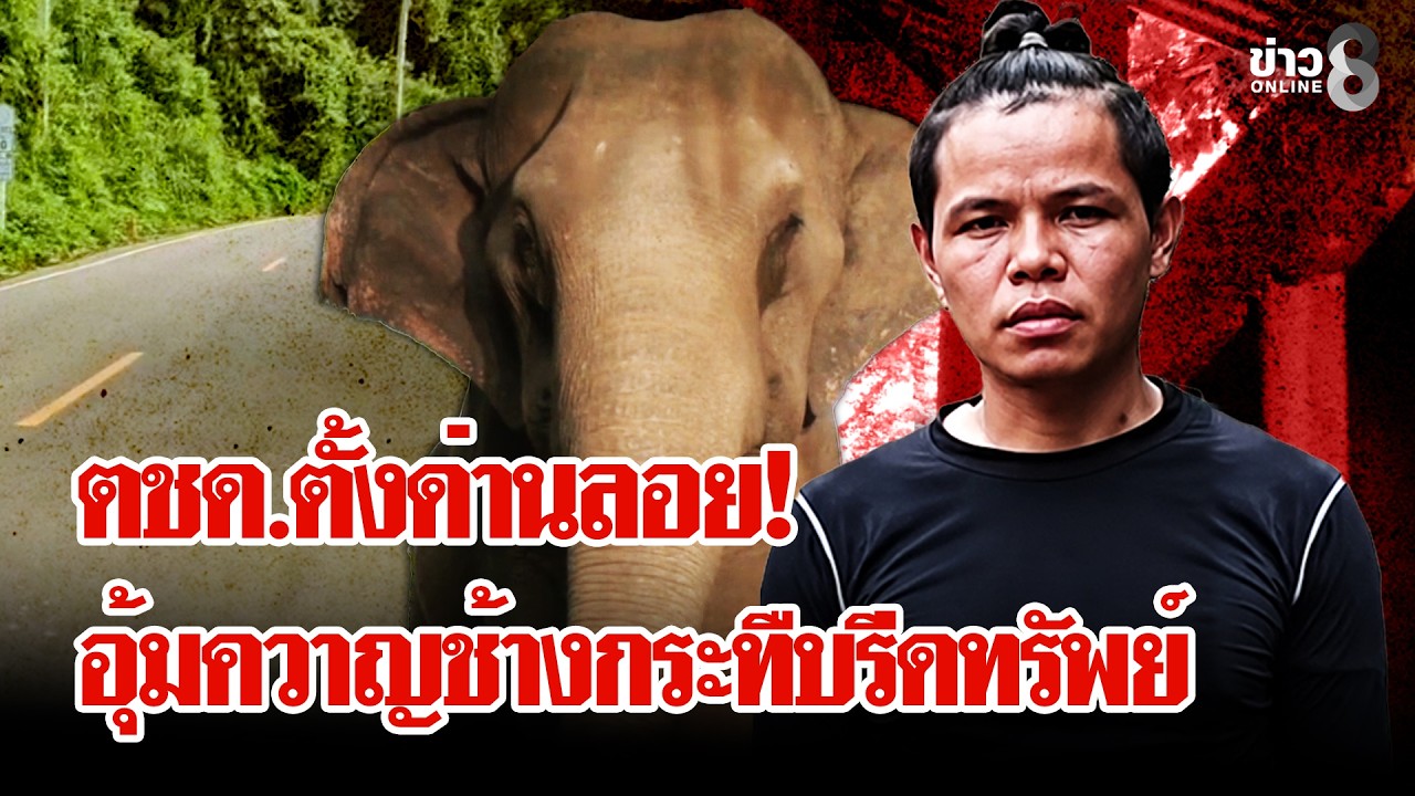 ‘ร้องสอบ-ตชด.!-ตั้งด่านลอย-อุ้มซ้อมควาญช้าง-รีดทรัพย์เจ