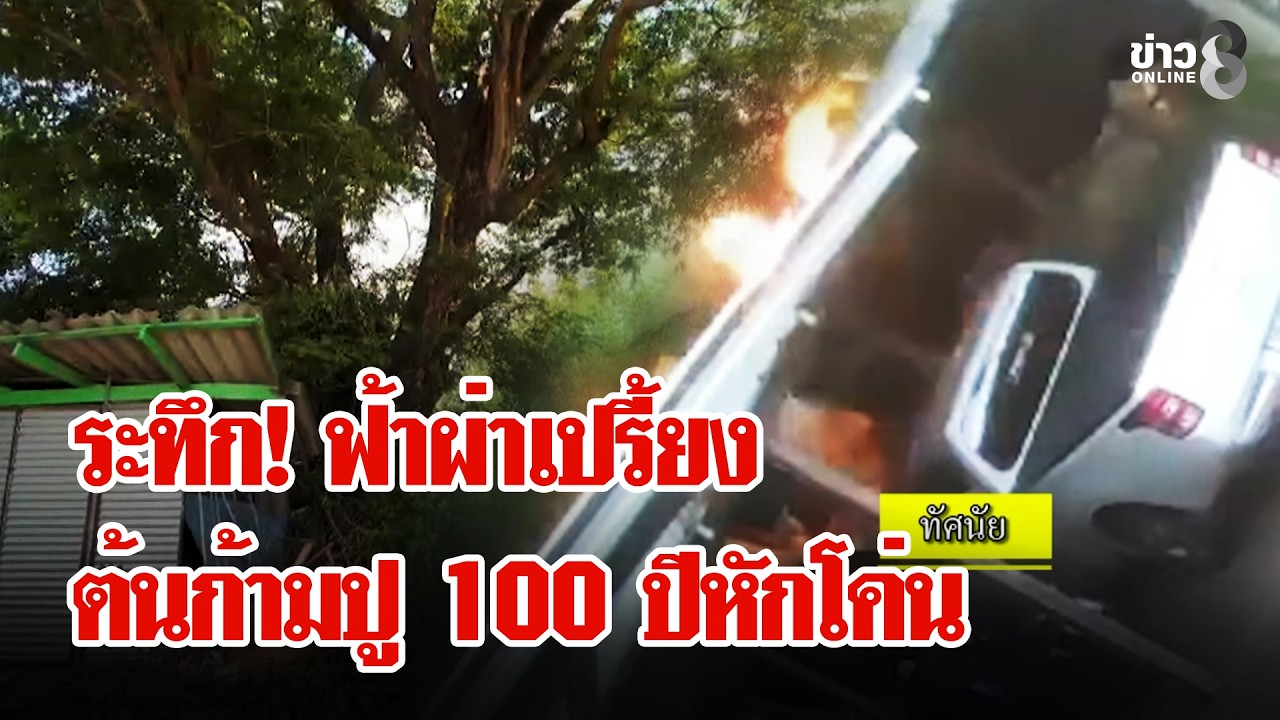 ‘ระทึกขวัญสั่นประสาท!-ฟ้าผ่าเปรี้ยงต้นก้ามปูยักษ์อายุเฉ