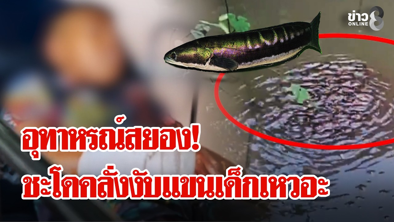 ‘ประกาศเตือนผู้ปกครอง!-ปล่อยลูกเล่นน้ำท่วมระวังเจอแจ็กพ